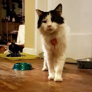 Meet your Posher, Kristin